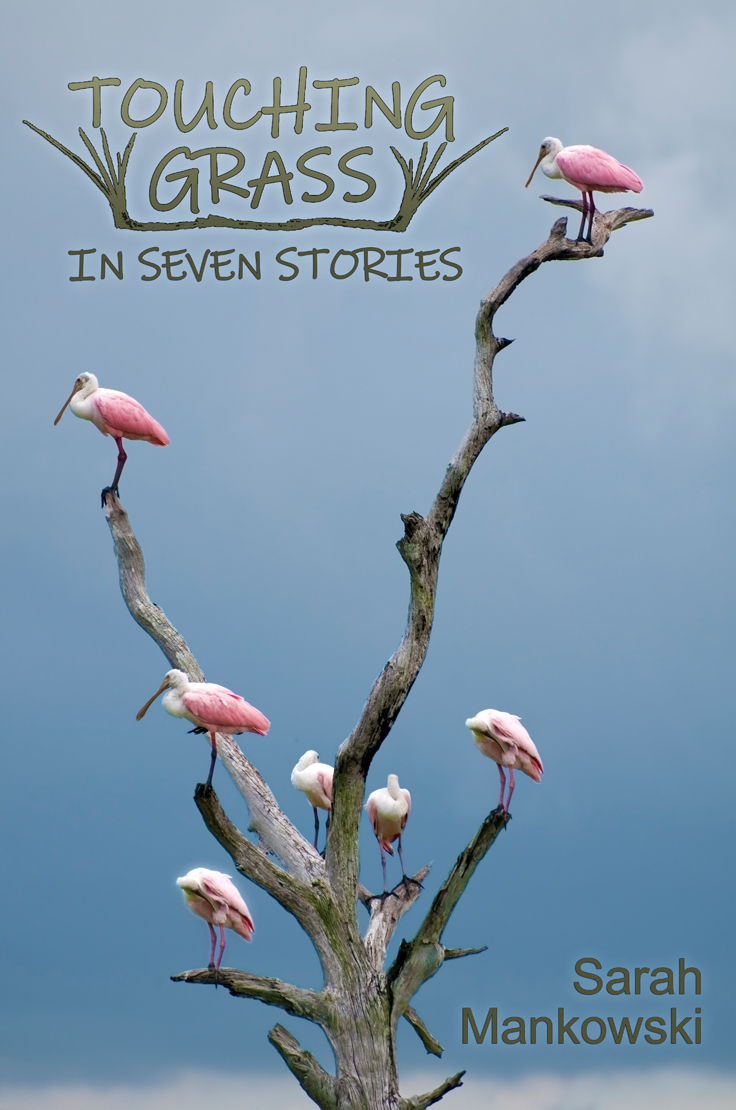 Cover: Touching Grass in Seven Stories